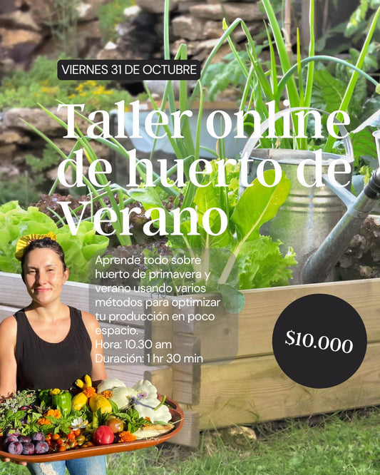 🌱 Taller Online de Huerto de Verano 🌞 16 de Noviembre